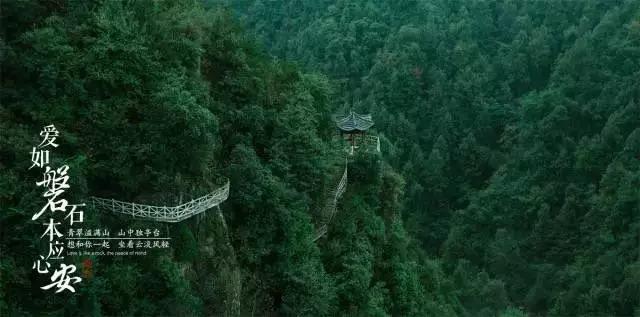吃补药不如吃秋葵,没事吃一吃,6个好处带回家!